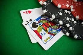 AduQ live dealer table on gototo slot platform